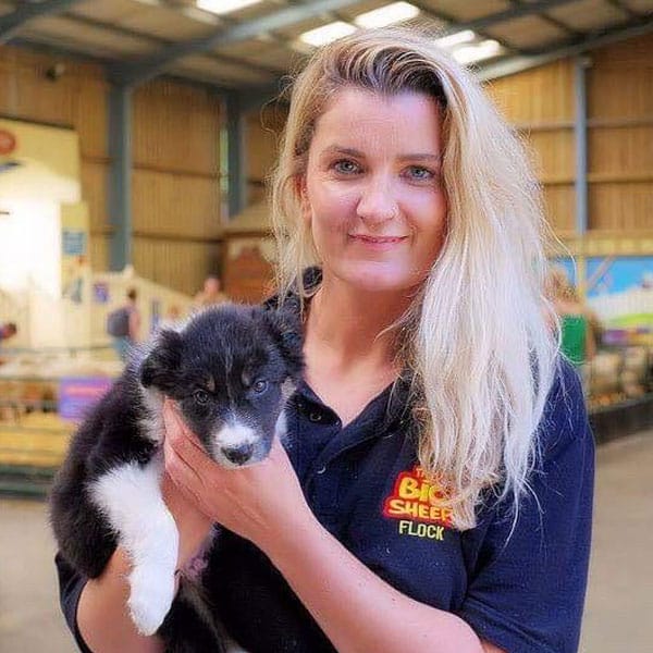 A member of staff holding a puppy