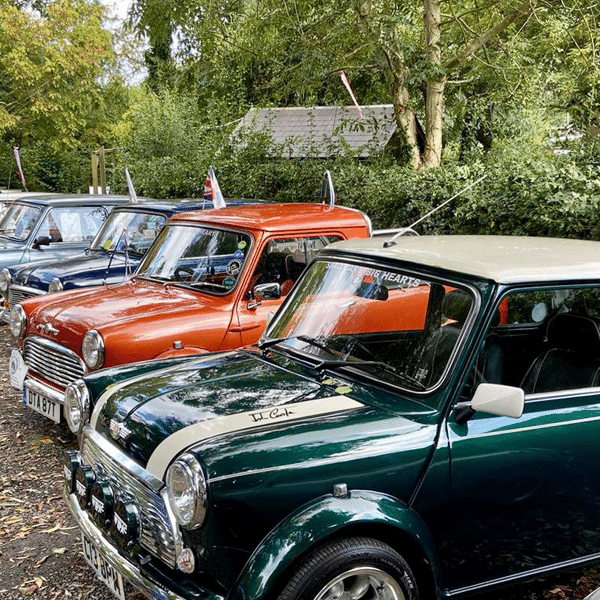 Classic Mini